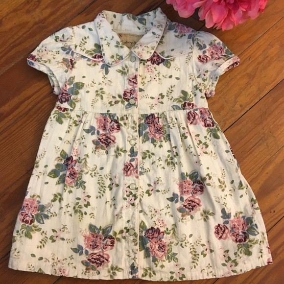Old Navy Other - Old Navy Vintage Baby Snap Floral Dress